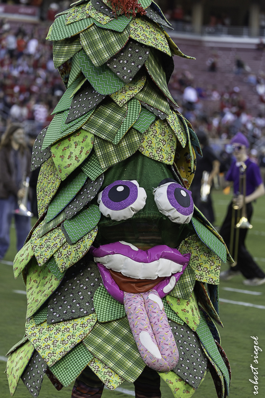 stanford football 2025